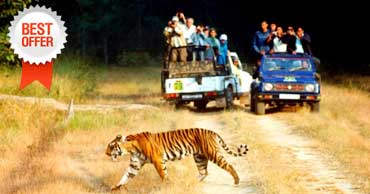 delhi to jim corbett tour by tempo traveller